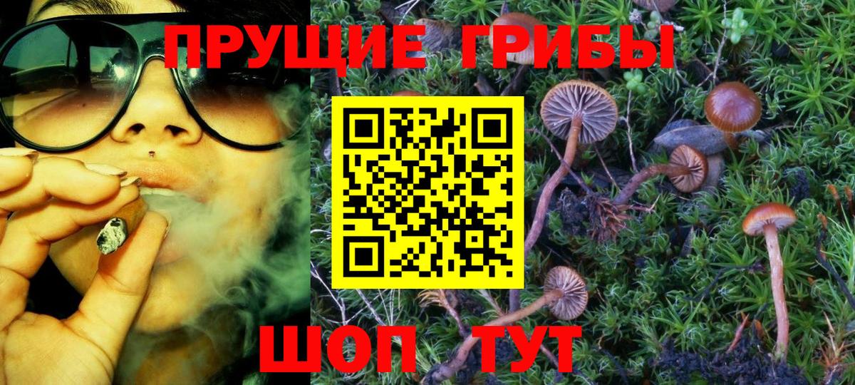 Псилоцибиновые грибы Psilocybe  Вход с VPN  Галлюциногенные грибы мицелий  Выкса 