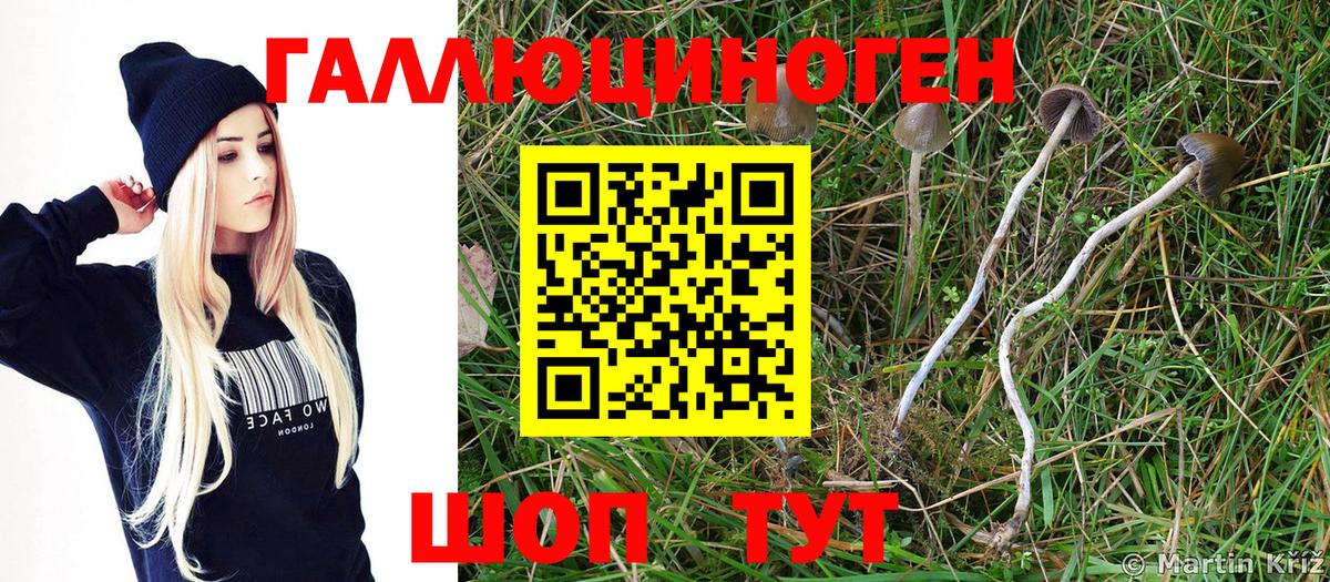 Псилоцибиновые грибы MAGIC MUSHROOMS Выкса